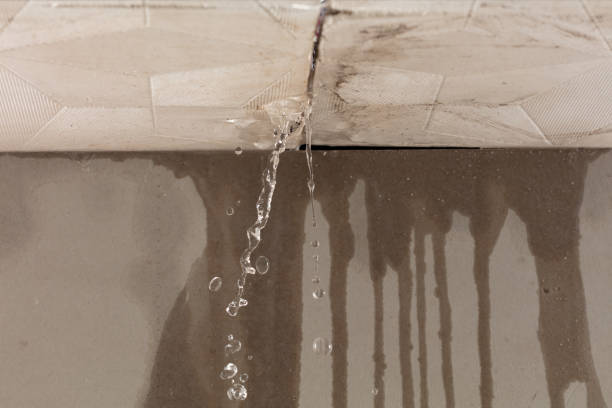 Professional Water Damage Repair technician working in Devine, TX